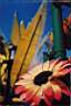avferia13x1.JPG